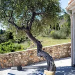 Σπίτι διακοπών Tree Of Life Βαλεριάνος